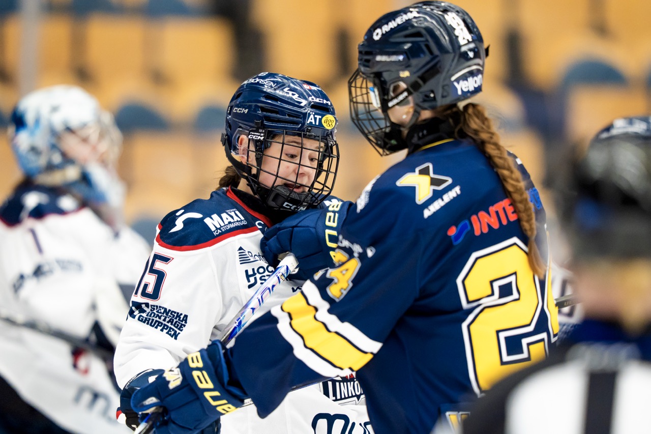Hockey frame 39