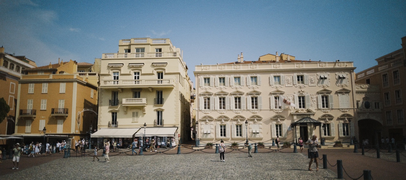 135 Film frame 6