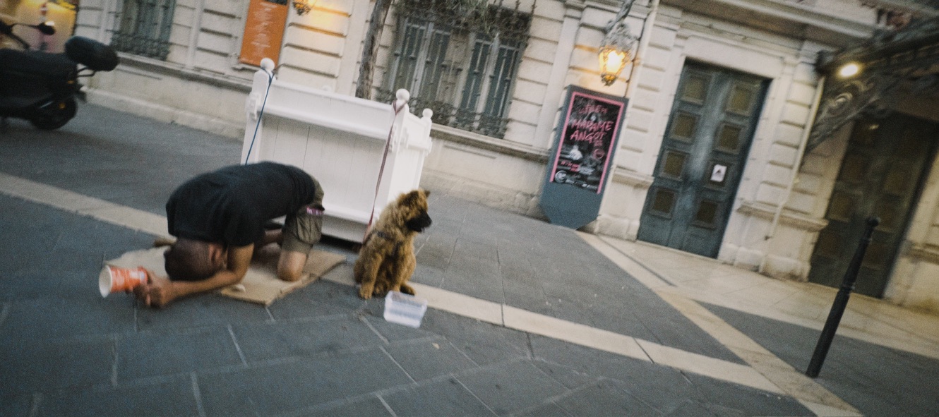 135 Film frame 17